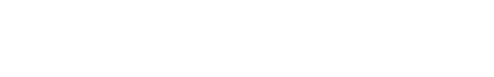 Chrome logo beside the words 'Chrome Extension'