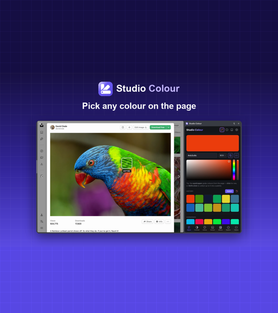 Studio Colour extension picking a colour from a photo of a rainbow lorikeet, with a swatch palette